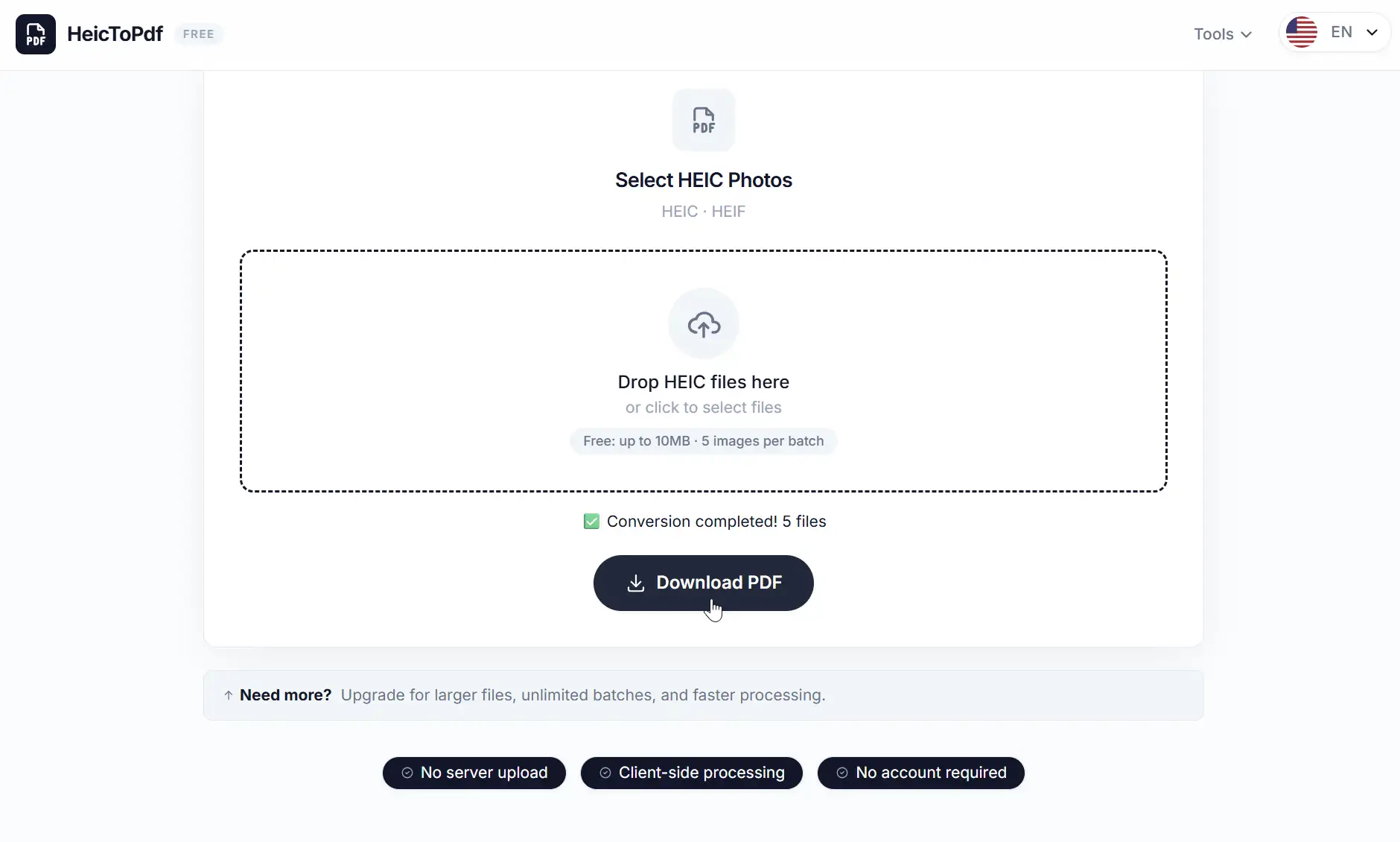 Download button for the converted PDF file